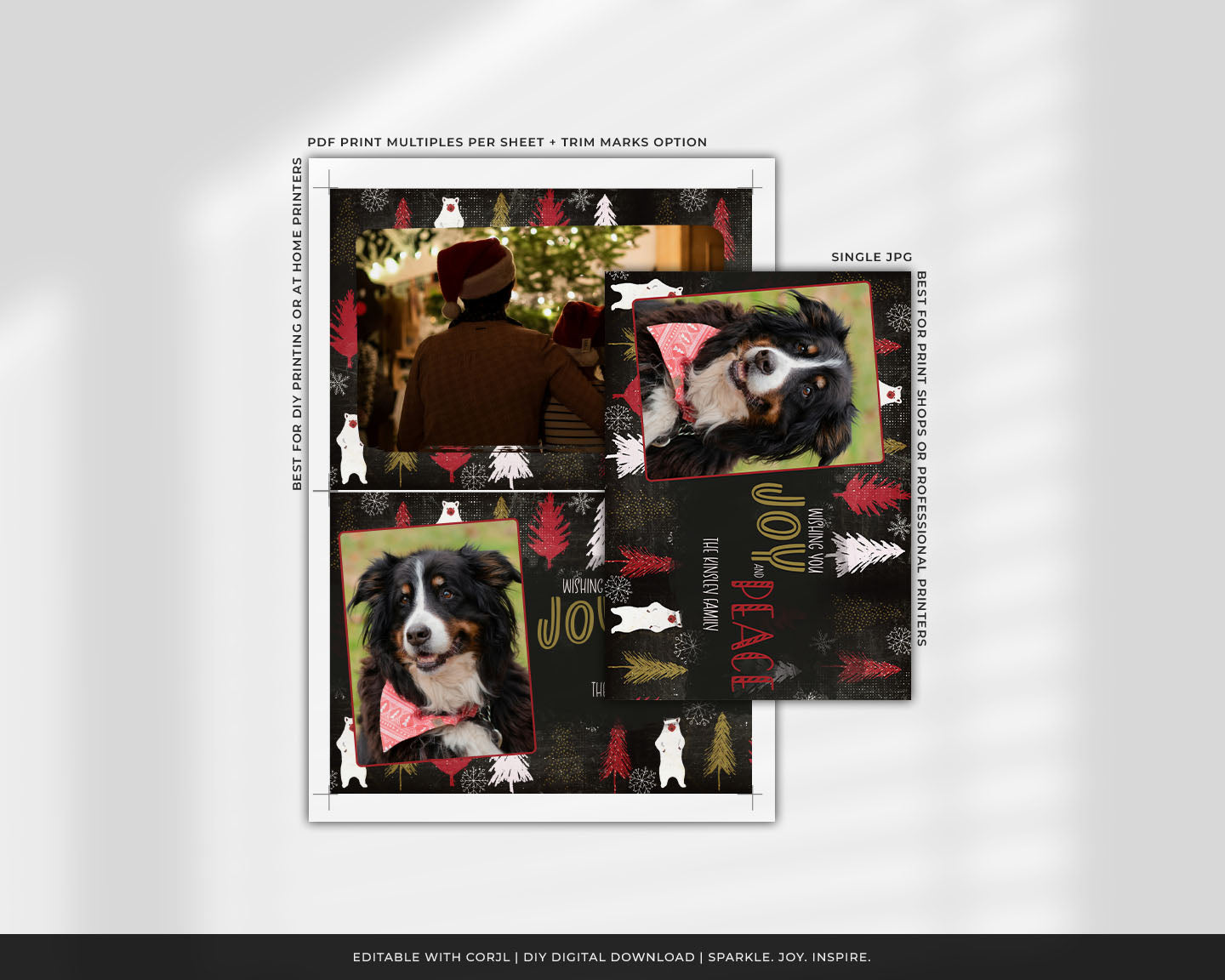 Dark Bear & Trees Custom Photo Christmas Card Party Simplicity
